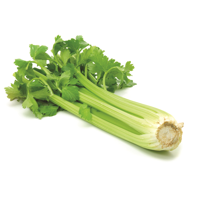 Celery Sleeve
