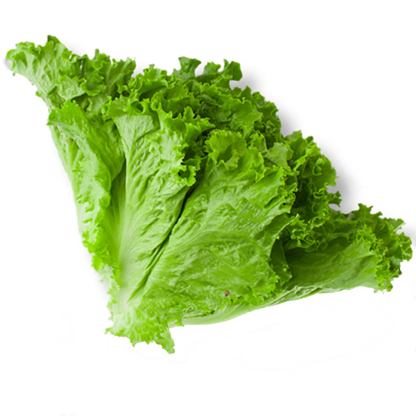 Lettuce crisp clearance