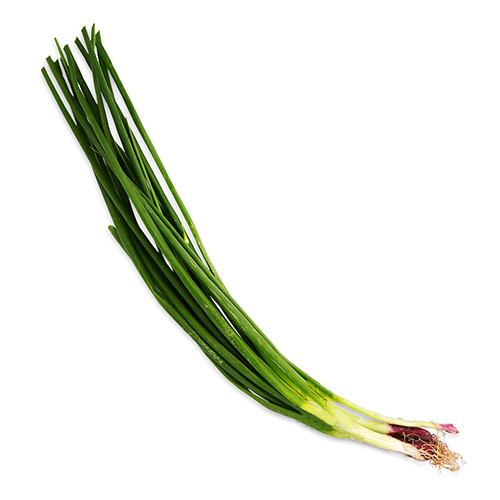 Spring Onion Sleeve